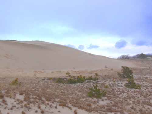 Massachusetts Cape Cod Sands