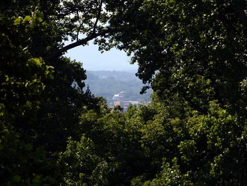 Virginia Monticello UVA View