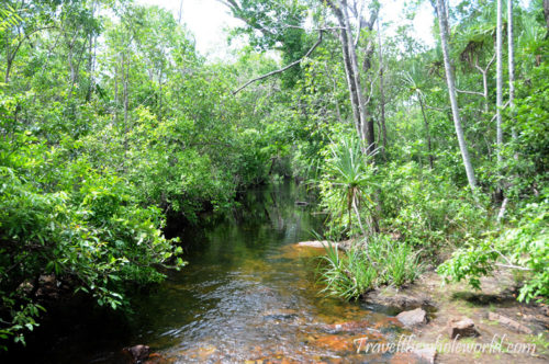 Visiting Litchfield National Park - Travel The Whole World